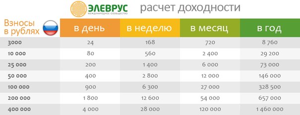 обзор elevrus.com