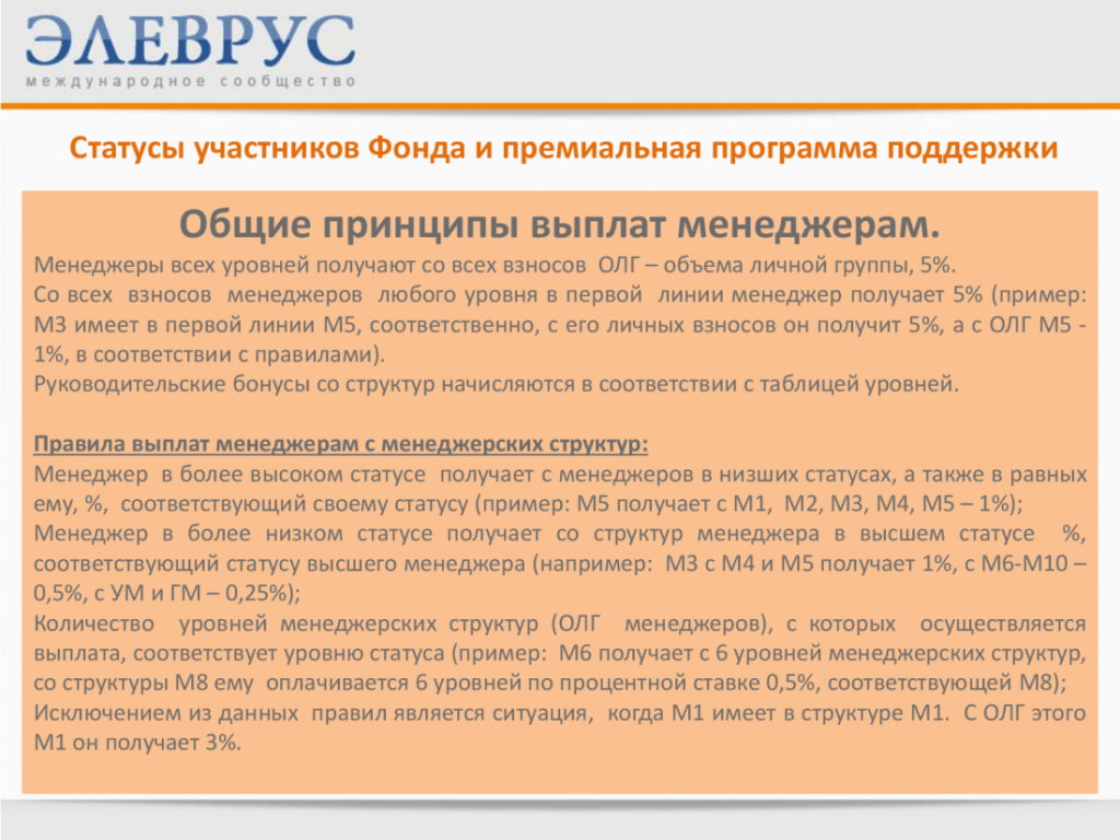 обзор elevrus.com