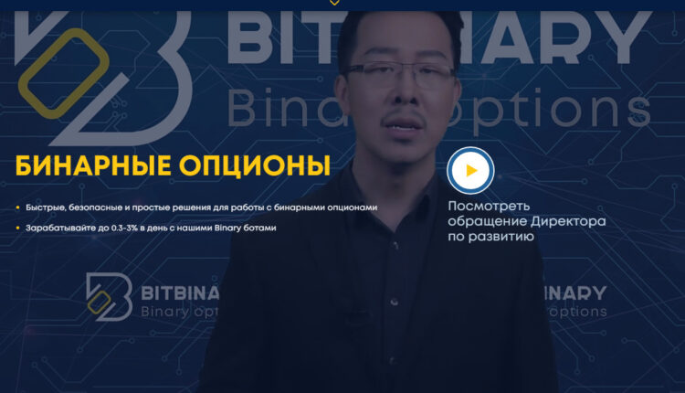 Bitbinary — отзывы о проекте